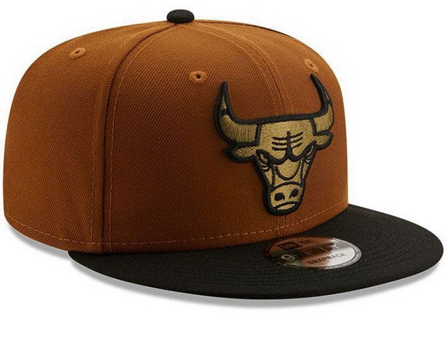 NBA hats 025