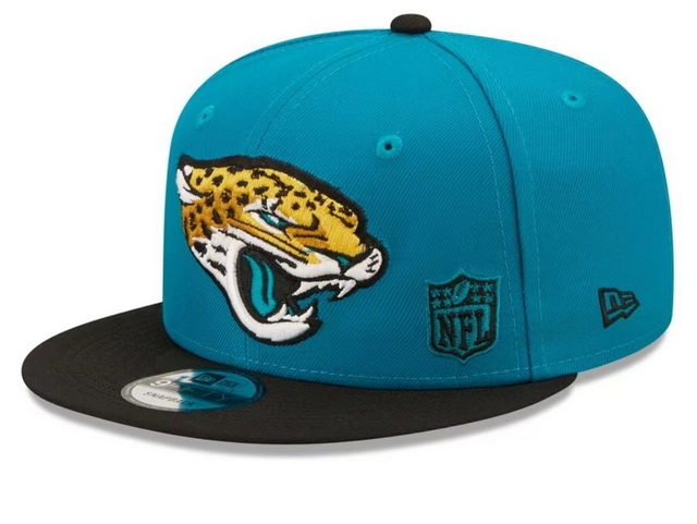 NFL hats 077