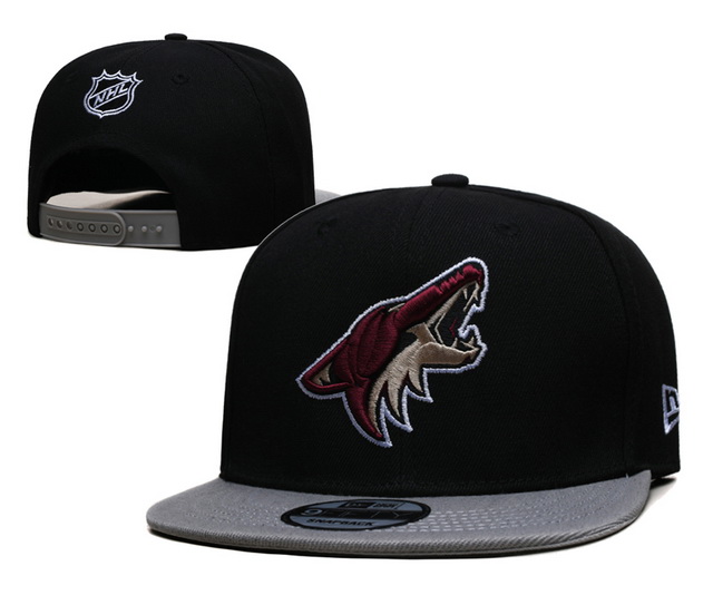 NHL hats 004