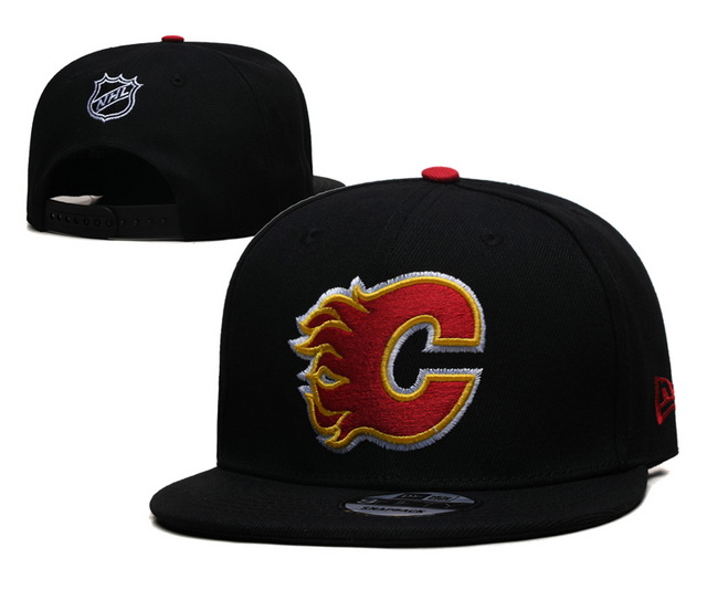 NHL hats 009